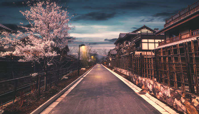 北海道樱花什么时候开