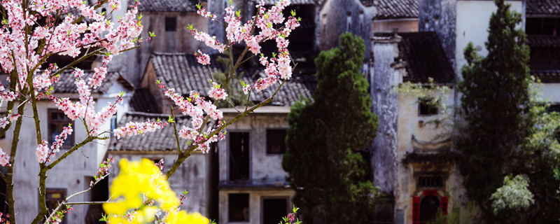 桃花潭在哪个省份 