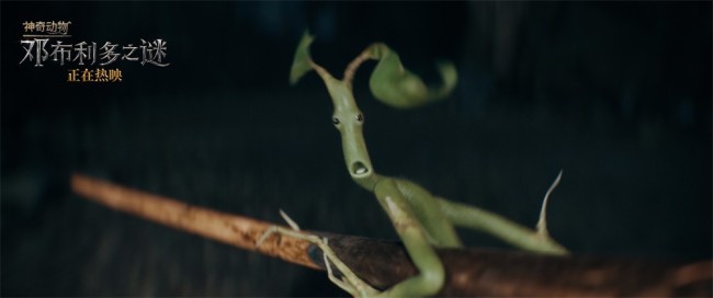 《神奇动物：邓布利多之谜》拿起魔杖开启冒险之旅