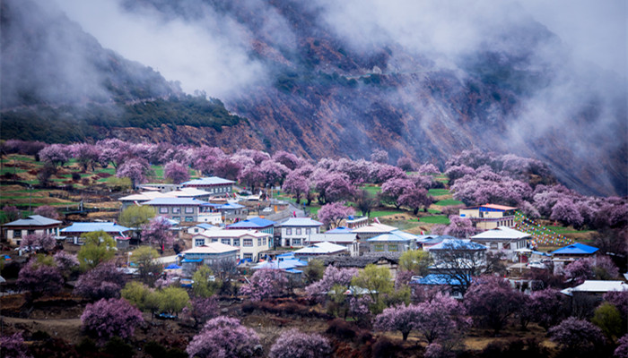 桃花潭在哪个省份 