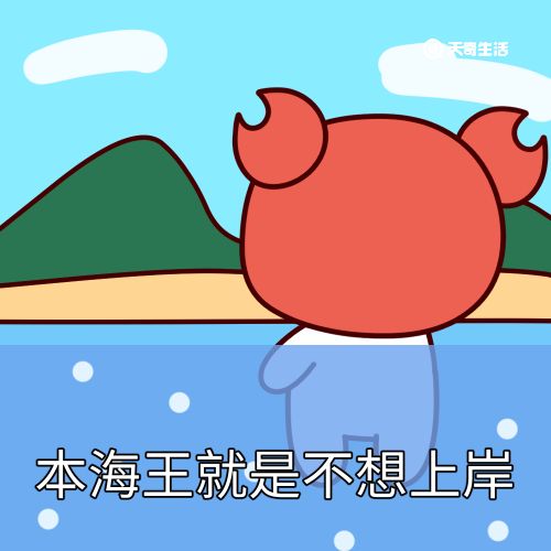 海王是什么梗