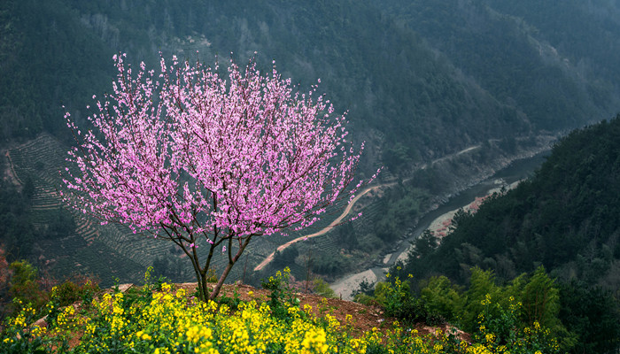 桃花潭在哪个省份 