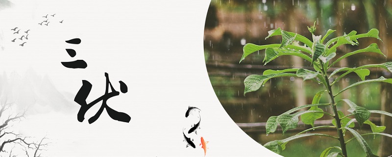 小暑是伏天吗