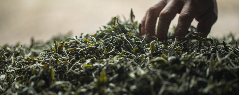 南京特产雨花茶用什么法冲泡