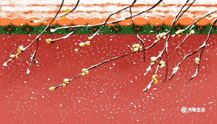 雪梅的思想感情