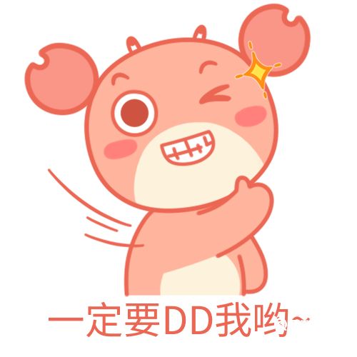 dd是什么梗