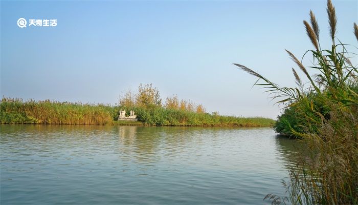 四大淡水湖分别是