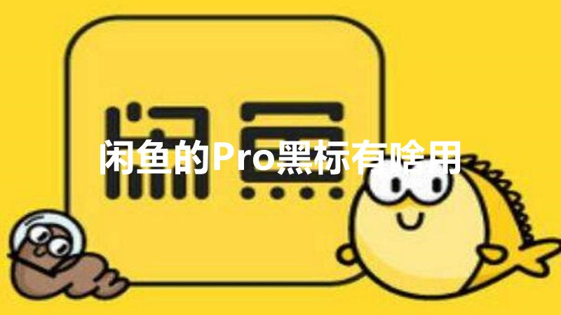 闲鱼的Pro黑标有啥用