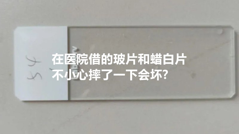 在医院借的玻片和蜡白片不小心摔了一下会坏?