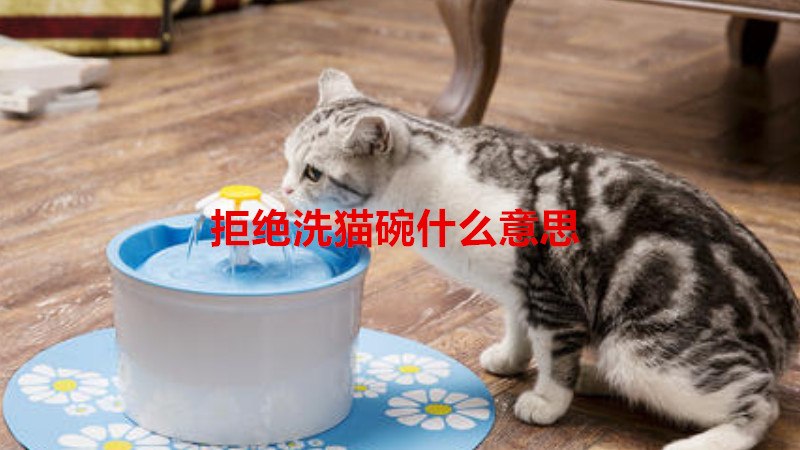拒绝洗猫碗什么意思