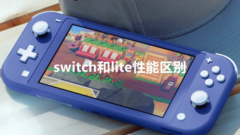 switch和lite性能区别