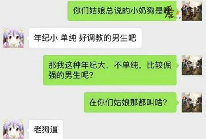 小奶狗什么意思 女生为什么要这样称呼男生