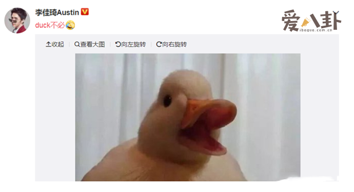 duck不必是什么梗 最早出现在李佳琦直播间走红