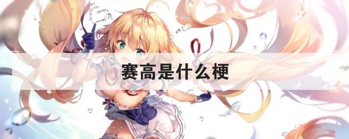 赛高什么意思 日语这样说是什么意思