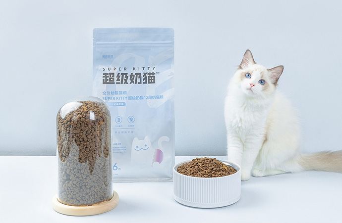 养一只猫一个月大概要花多少钱 需要注意什么