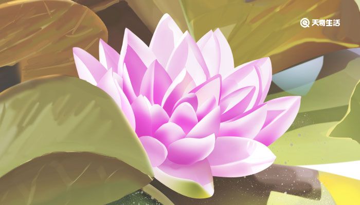 感恩简短的十句话