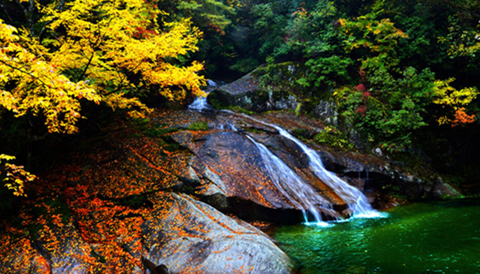 巴山属于四川还是重庆