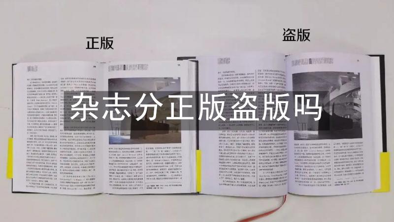杂志分正版盗版吗