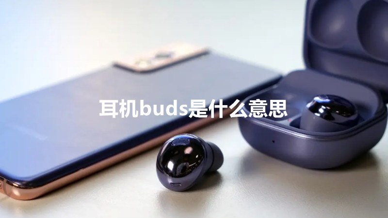 耳机buds是什么意思