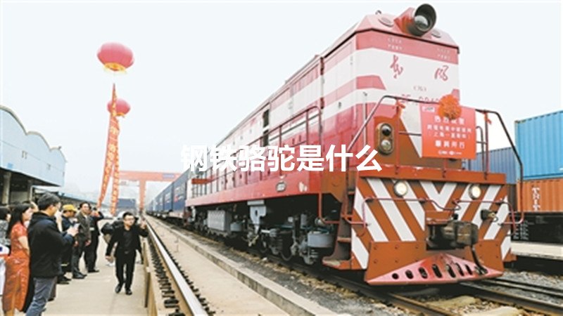钢铁骆驼是什么