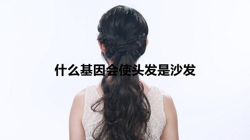 什么基因会使头发是沙发