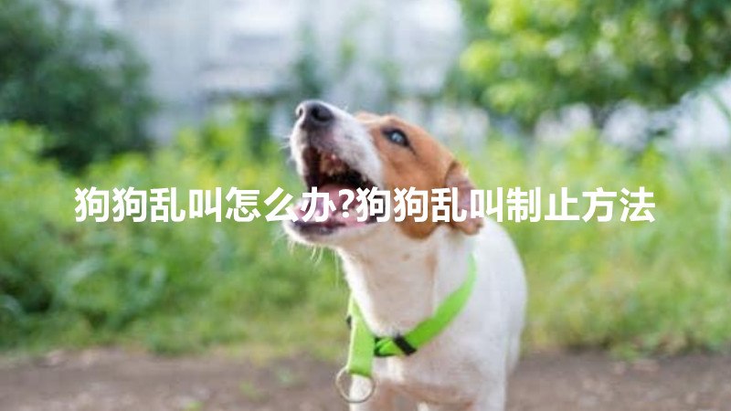 狗狗乱叫怎么办?狗狗乱叫制止方法