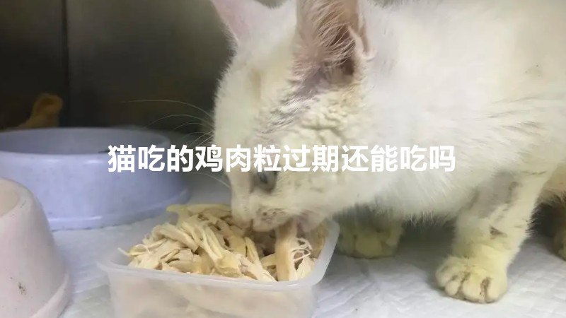 猫吃的鸡肉粒过期还能吃吗