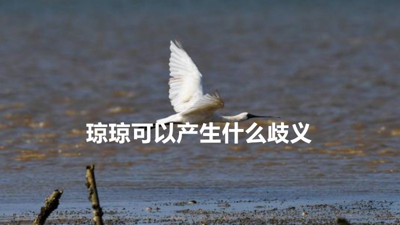 琼琼可以产生什么歧义