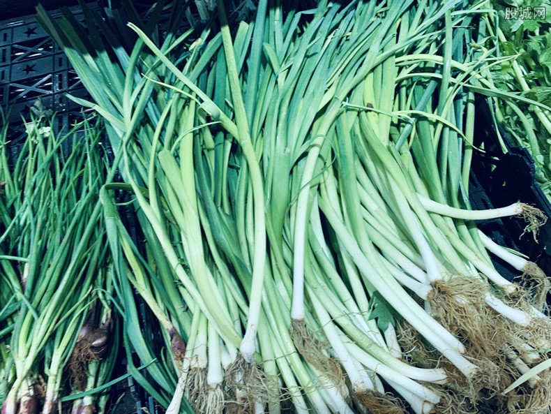 上海有蔬菜烂地里卖不掉？官方回应