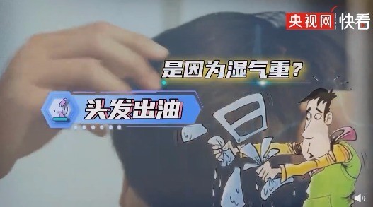 头发爱出油或是因为湿气重 那应该怎样祛湿？