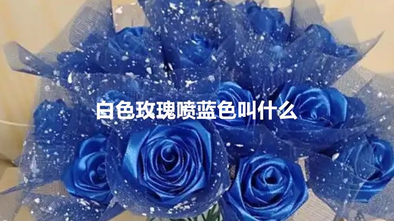 白色玫瑰喷蓝色叫什么