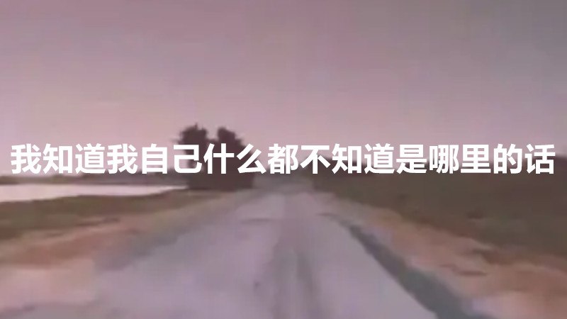 我知道我自己什么都不知道是哪里的话