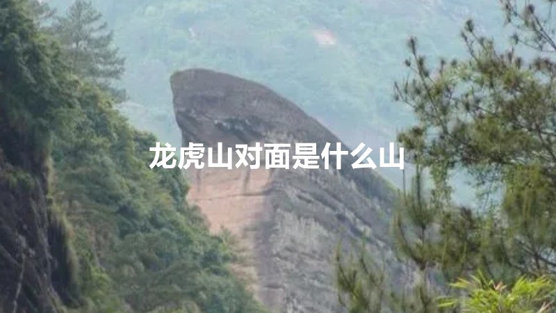 龙虎山对面是什么山