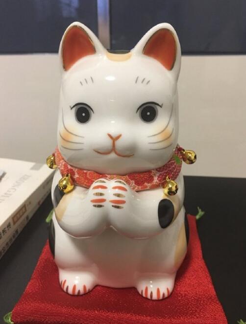 三花猫为什么招财？三花猫是什么品种？都是母猫吗？