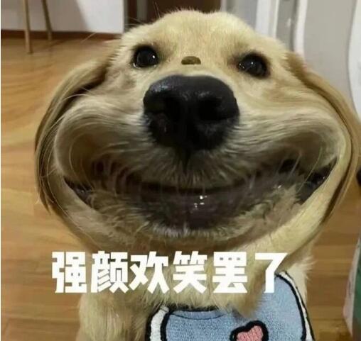 搞学是什么意思?搞学了武汉话什么意思?