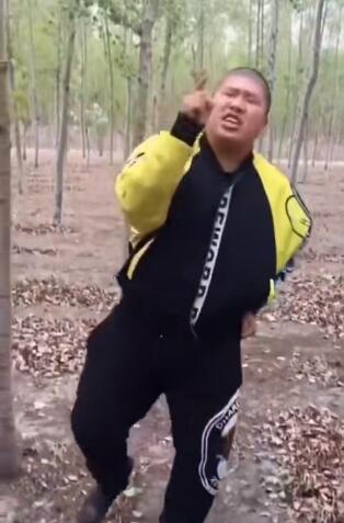补档是什么意思?补档是什么梗?
