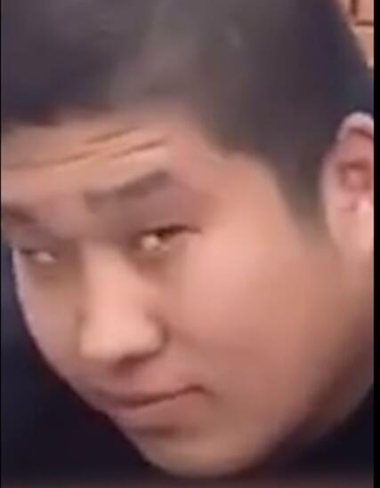 补档是什么意思?补档是什么梗?