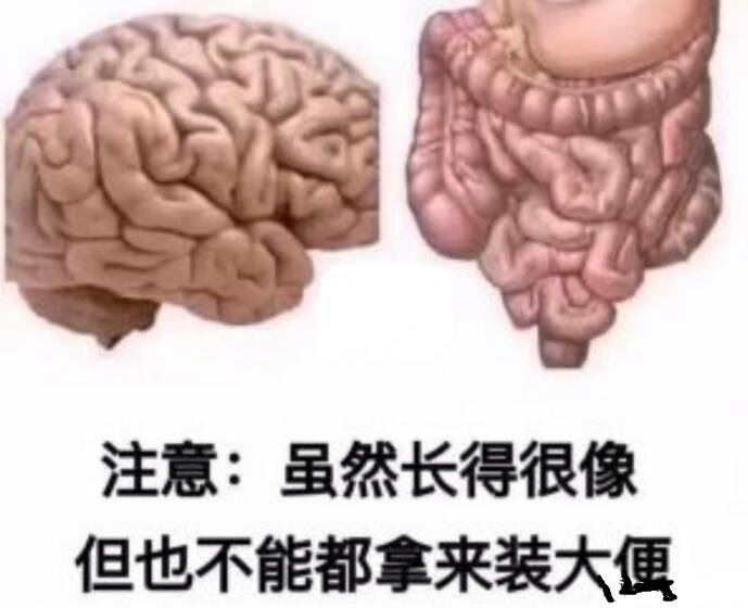 石头人共用半个大脑什么梗？石头人共用一个大脑表情包