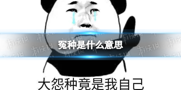 冤种是什么意思 大冤种是什么梗 冤种朋友是什么意思