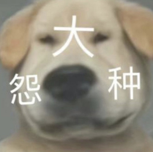 冤种是什么意思 大冤种是什么梗 冤种朋友是什么意思
