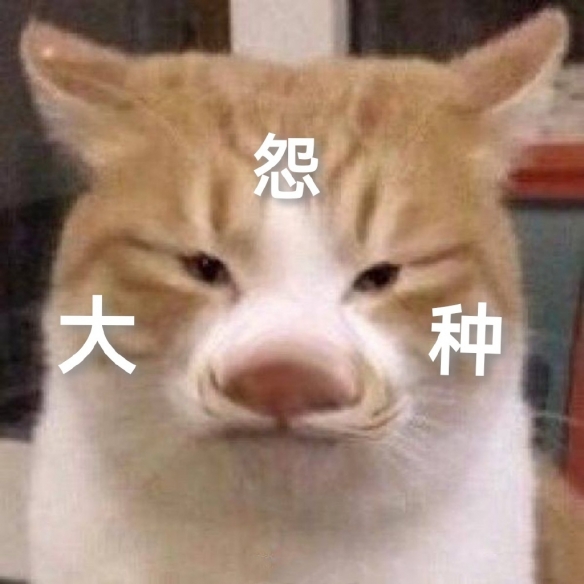 冤种是什么意思 大冤种是什么梗 冤种朋友是什么意思
