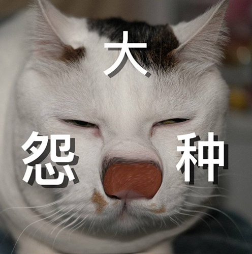 冤种是什么意思 大冤种是什么梗 冤种朋友是什么意思