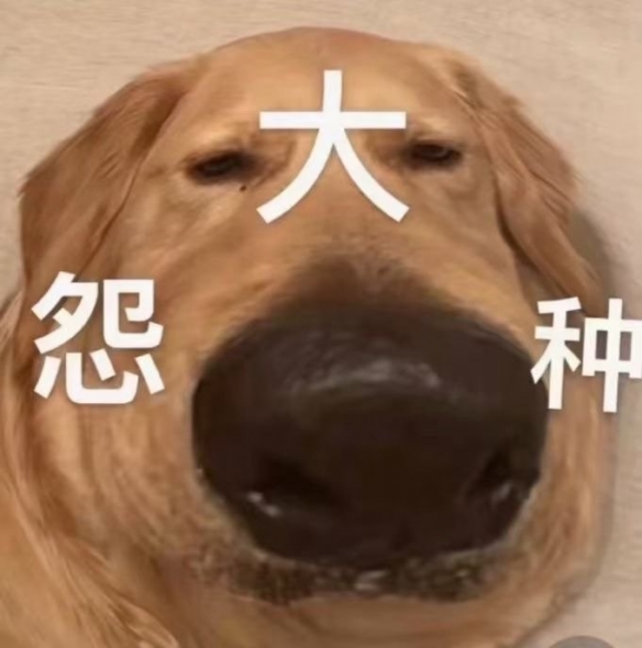 冤种姐妹是什么意思 我的冤种闺蜜什么意思 冤种闺蜜是什么意思梗