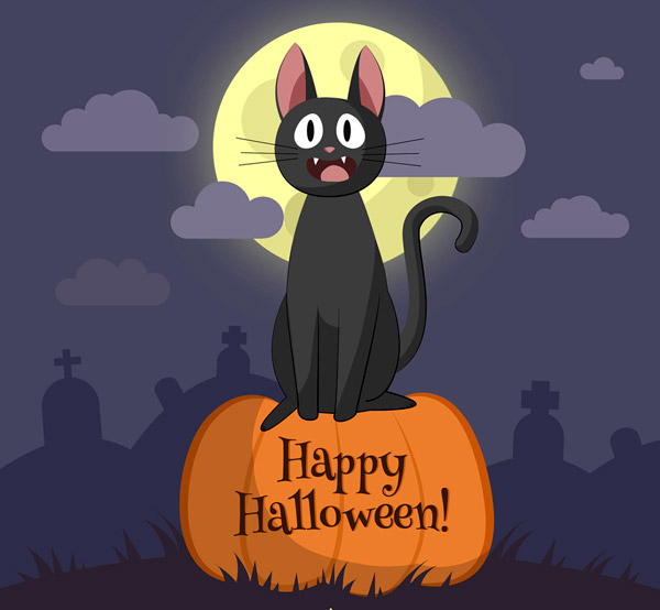 佛教说人养猫的缘分，猫喜欢接近有福报的人真的吗？