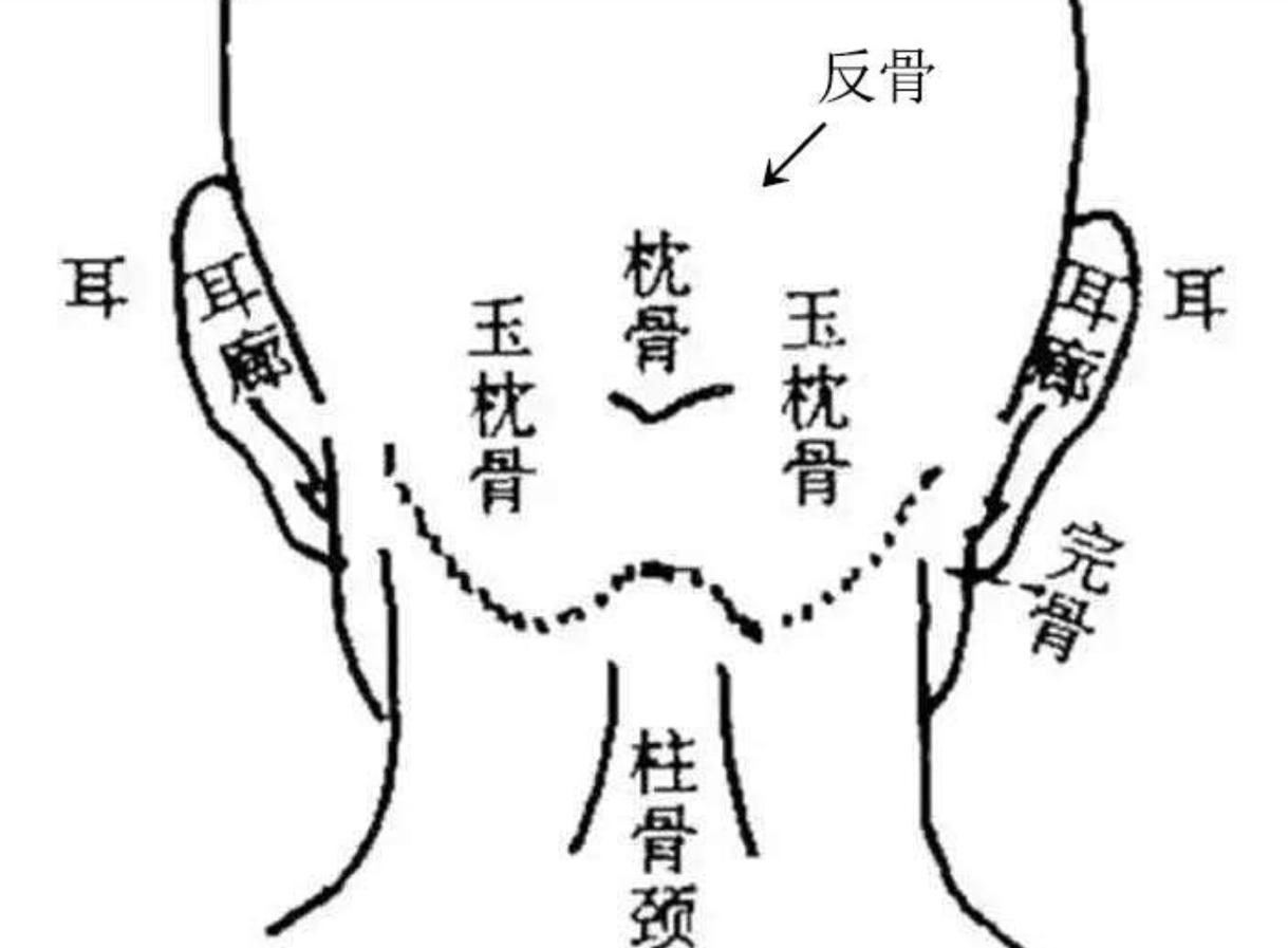 传说脑后有反骨必是奇人真假，脑后有反骨是什么样子图片