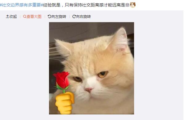 社交边界感是什么意思,社交边界感强的人什么特征