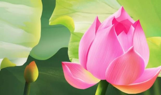 花朝节是哪一天?花朝节的由来和风俗介绍