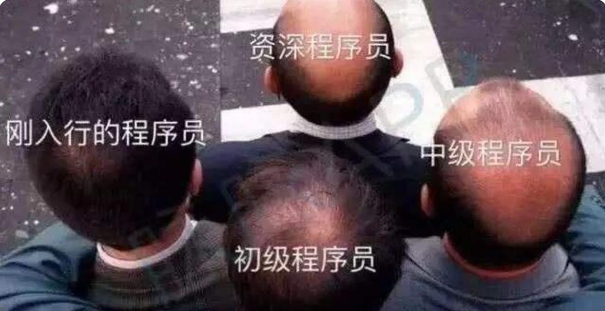 程序员为什么会秃头？秃顶最好的恢复方法是什么