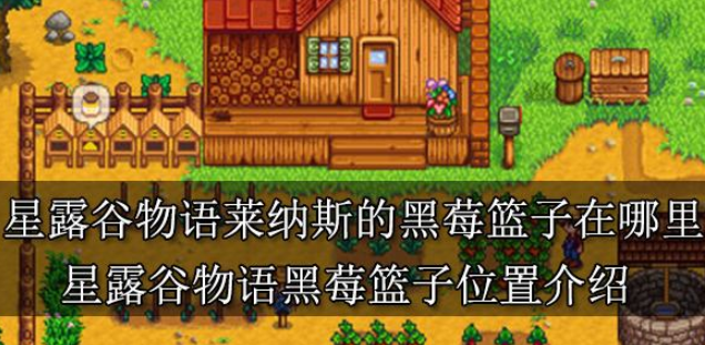 星露谷物语莱纳斯的黑莓篮子在哪 星露谷物语黑莓篮子丢失的篮子位置