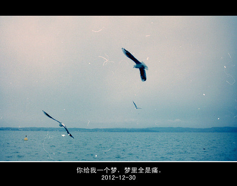 美容常识 即省钱又排毒的方法